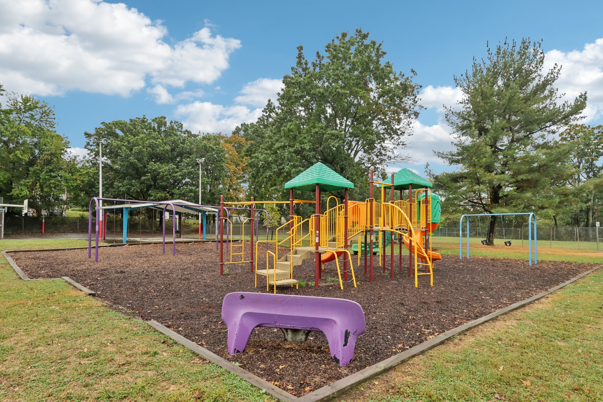 Community image
