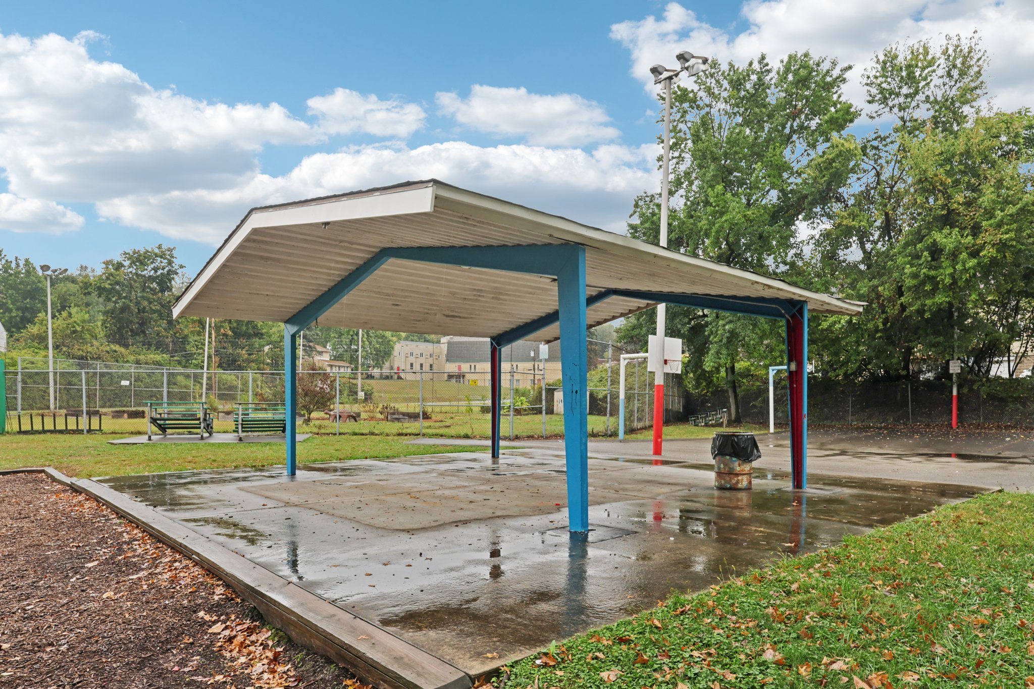 Community image