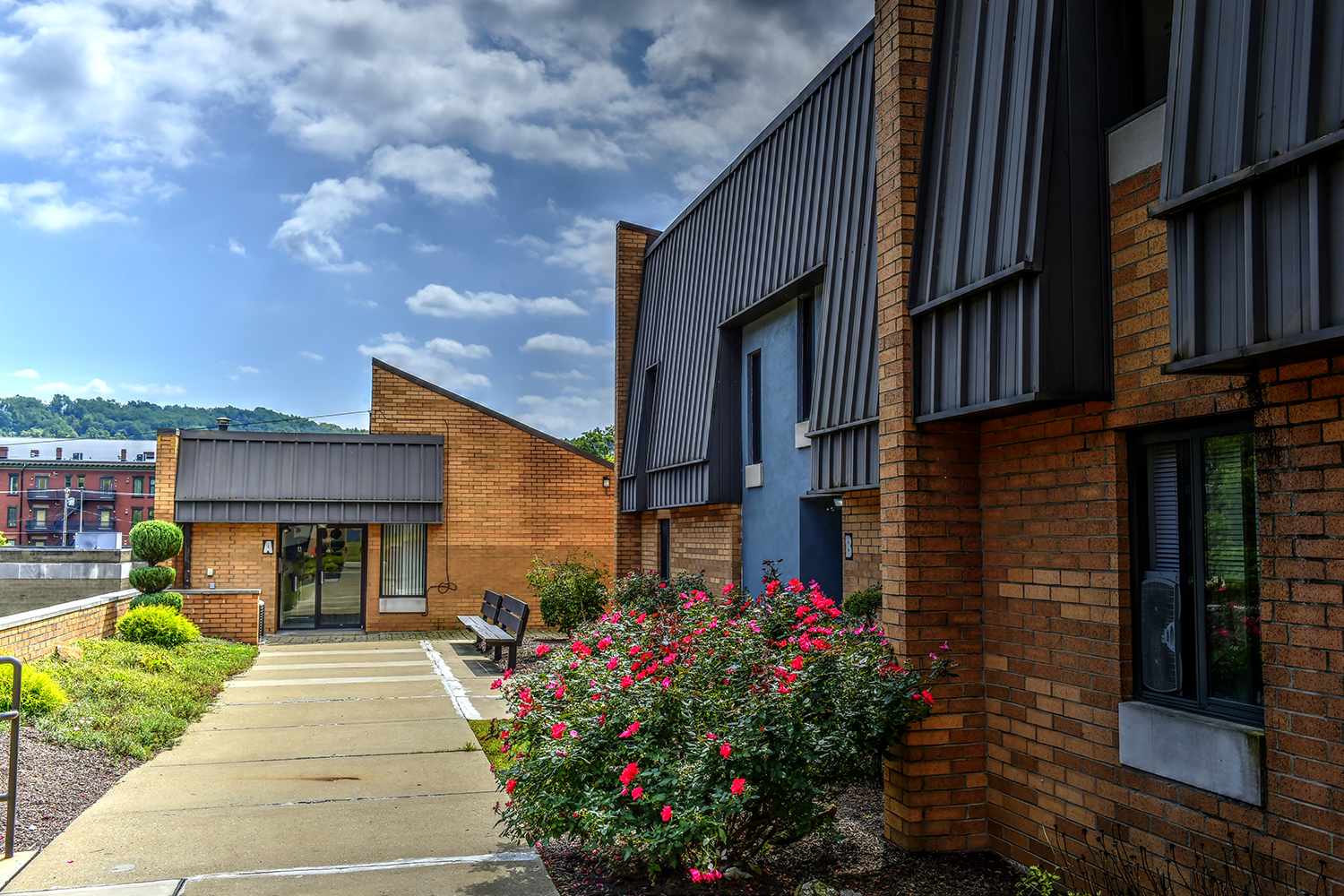 Community image