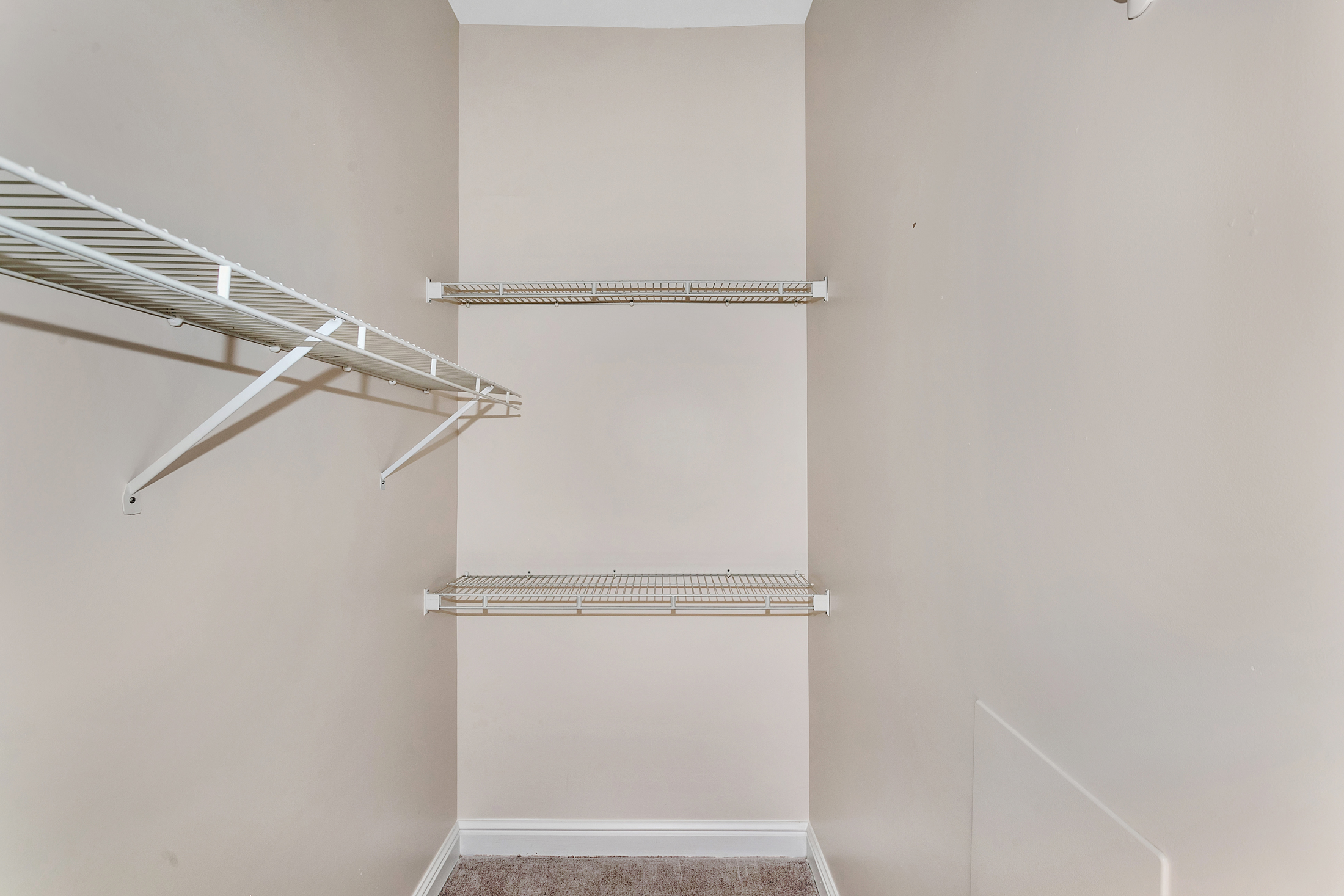 Commercial image